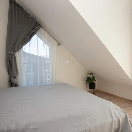 Dia 公寓式酒店 帕兰加